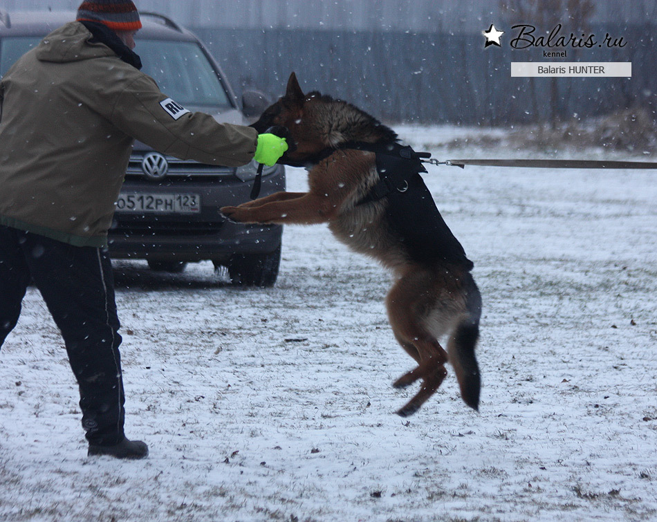 Десять месяцев.