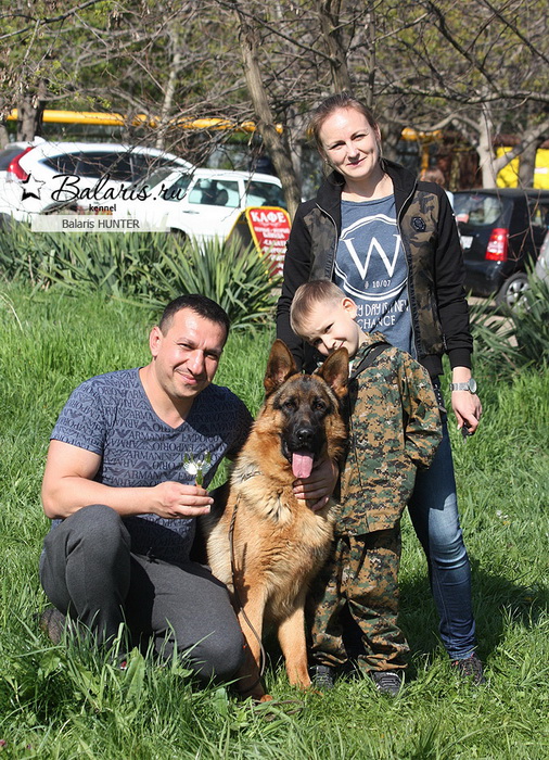 Победитель класса юниоров, Лучший представитель породы на выставке в Краснодаре 15 апреля 2017.