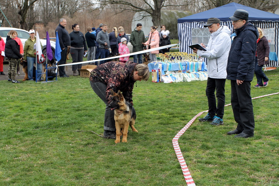 ПОБЕДИТЕЛЬНИЦА класса беби в Кропоткине 2017, экп. Е.Шайхудинов