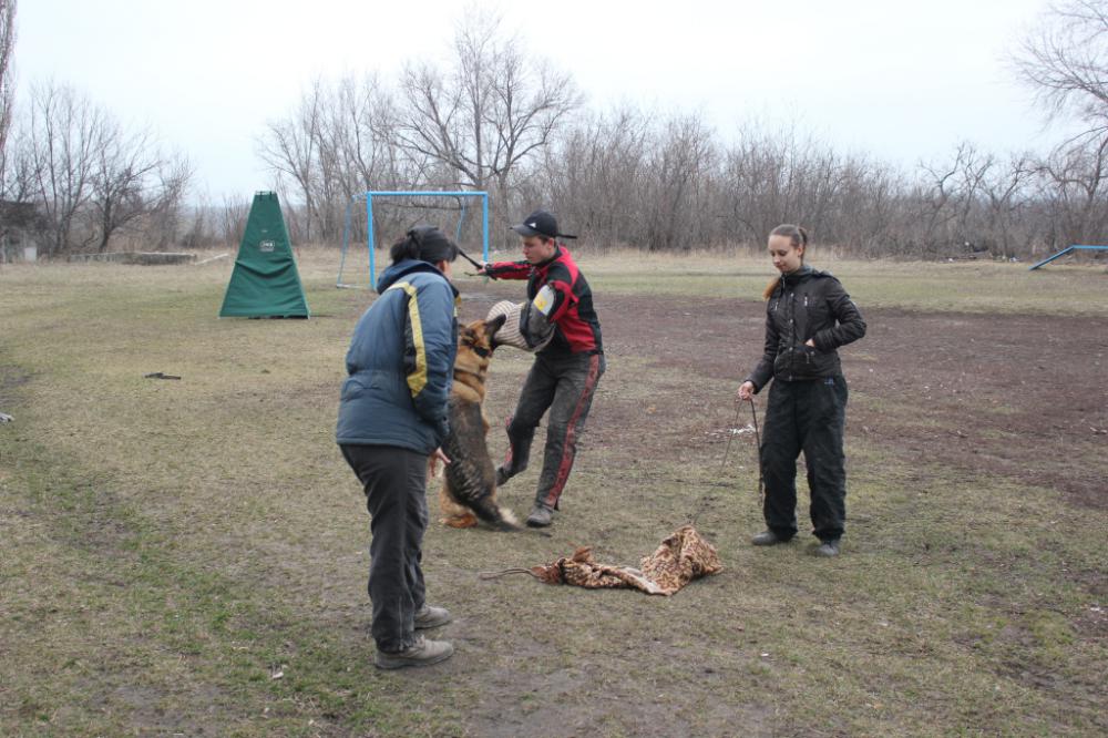 Тинка занимается в Лисичанске