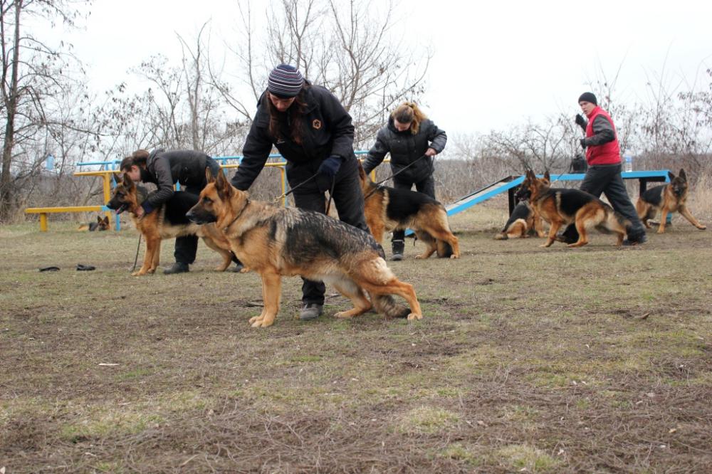 Тинка занимается в Лисичанске