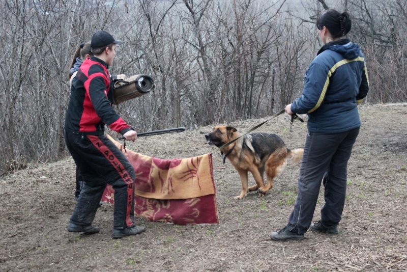 Тинка занимается в Лисичанске