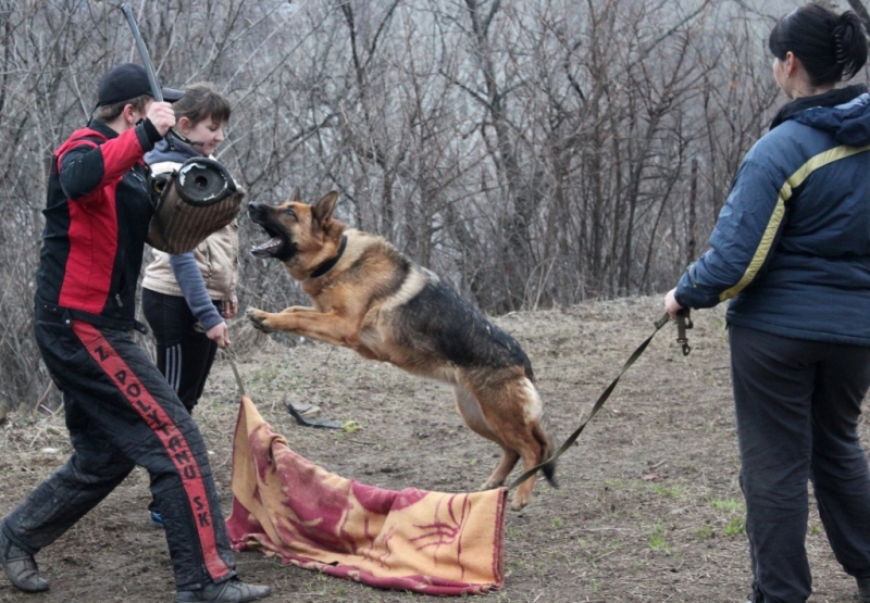 Тинка занимается в Лисичанске