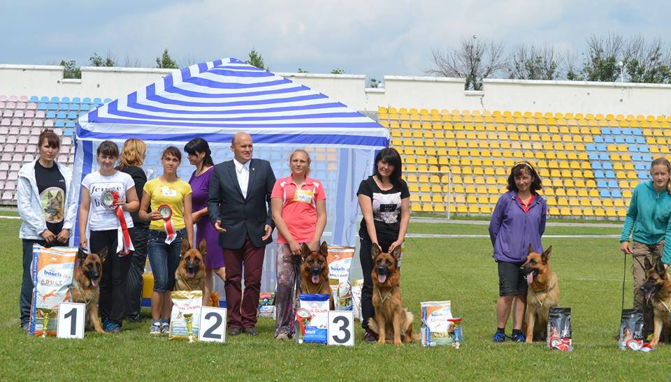 2 ОТЛИЧНО на монопородной выставке в Лисичанске 12.06.2016 (эксп. Д. Козорез).